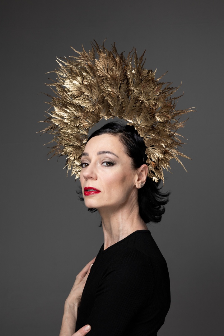 Стемма "Кленовые листья"